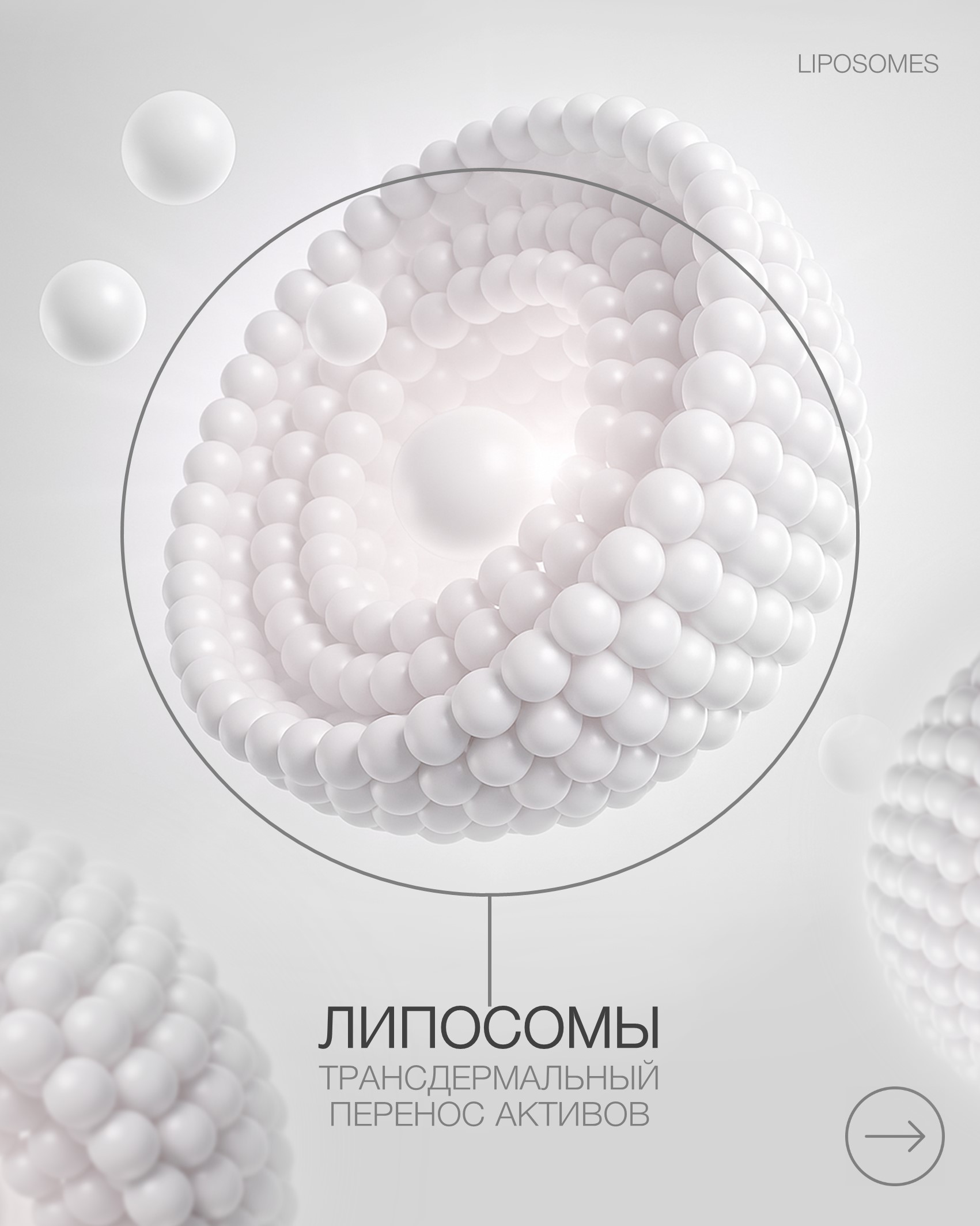 Пост липосомы 2 (25).jpg